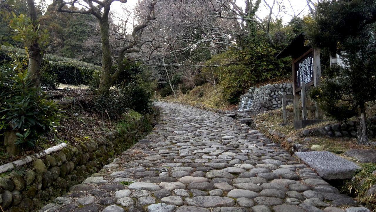 Jemsty Inn Hakone Ashinoko Εξωτερικό φωτογραφία