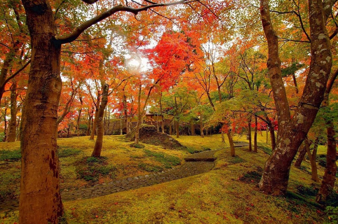 Jemsty Inn Hakone Ashinoko Εξωτερικό φωτογραφία